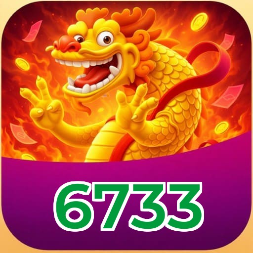 6733 Fortune FAQ